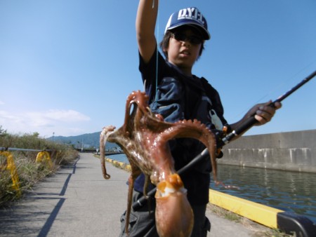 息子もオクトパッシング